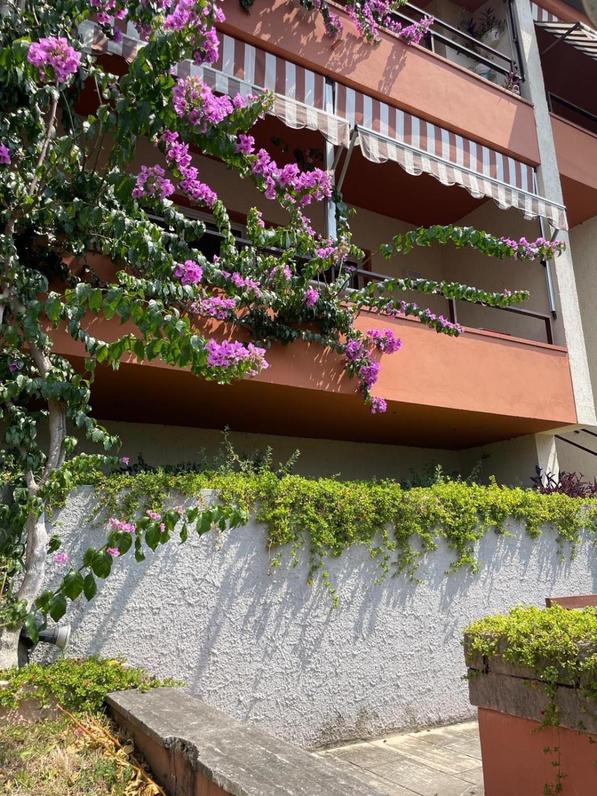 Residence Kormorano Malcesine Buitenkant foto